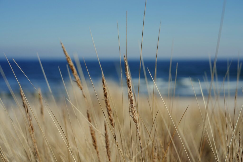 Exposition « Littoral en mouvement »